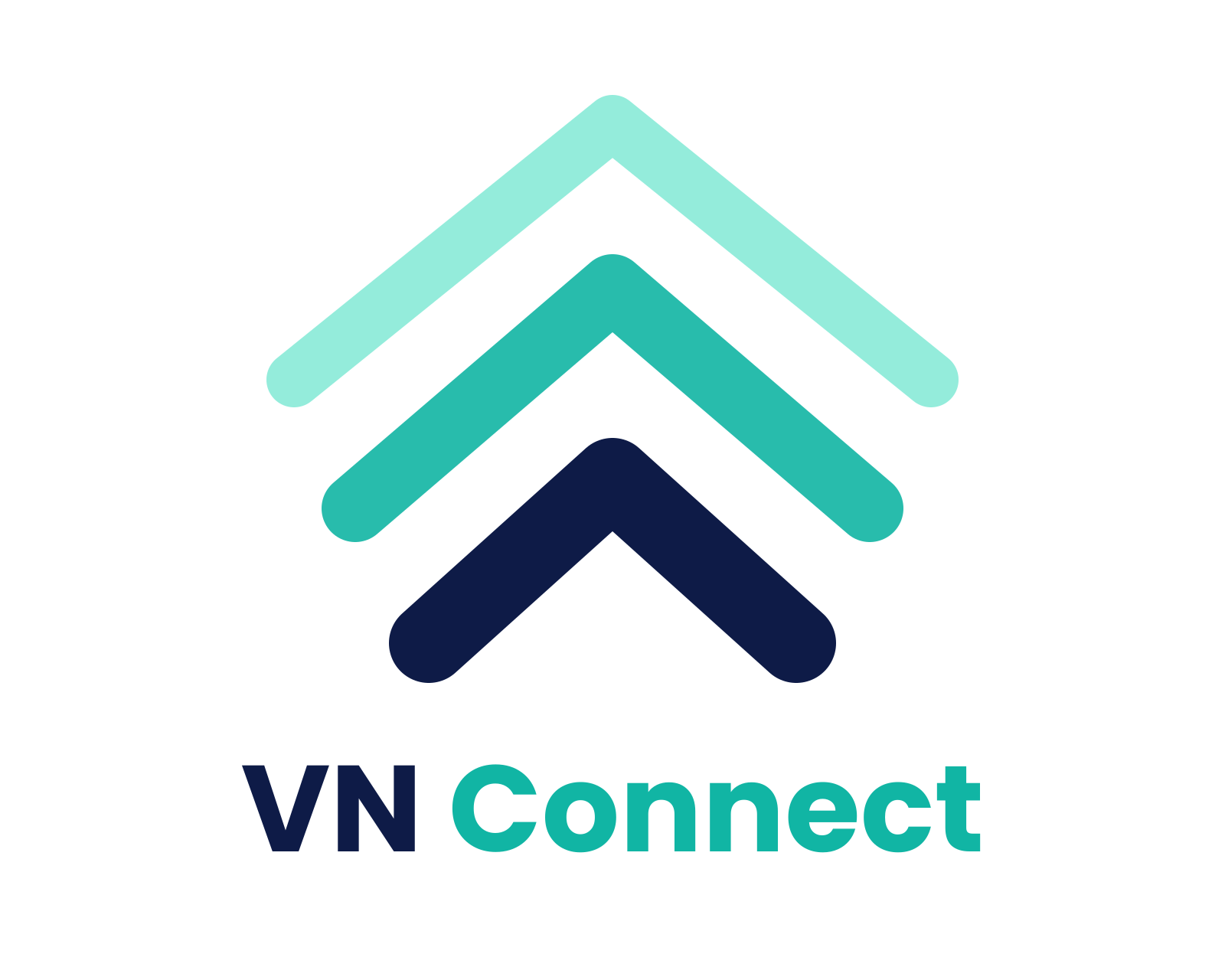 VN Connect
